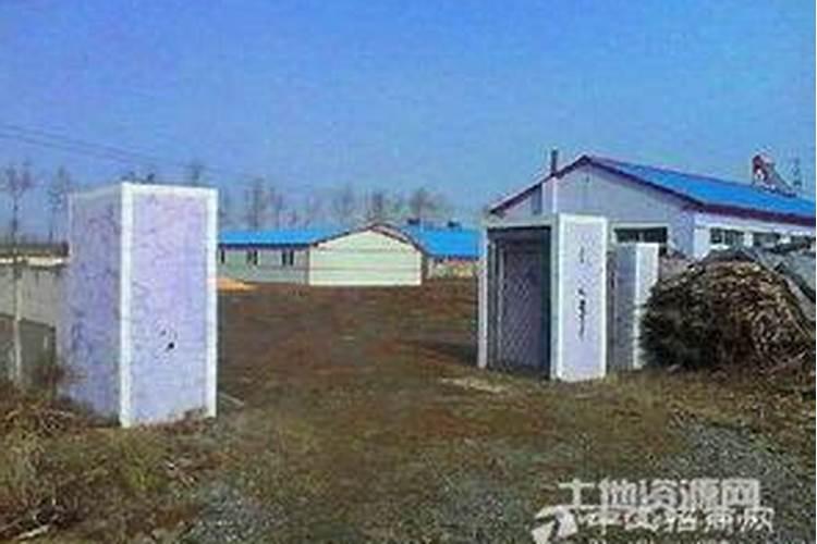 20亩地买化肥和种子用多少钱