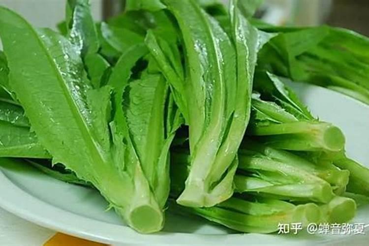 夏季给兰花浇水有哪些注意事项？