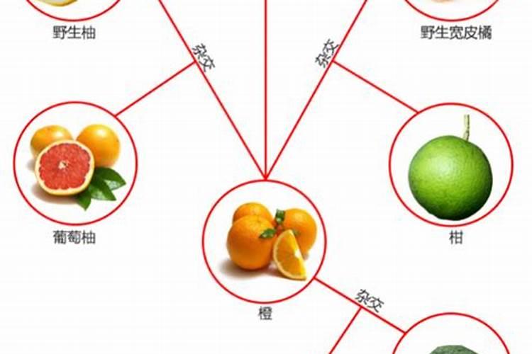花生泡在水里要多少天发芽长叶