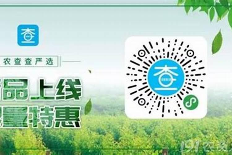 水竹子怎么养才能更旺盛竹子放水里怎么养才能更旺盛水养竹子怎么养才 ...