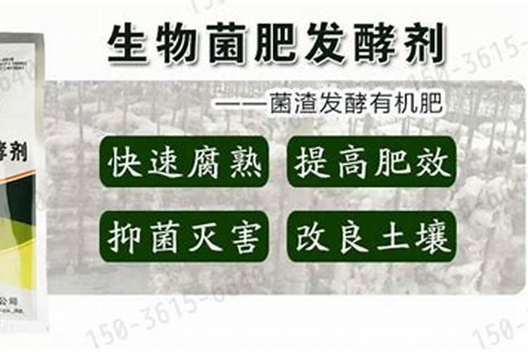em菌的正确使用方法