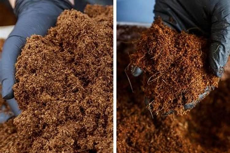 EM菌在种植业上的具体使用方法