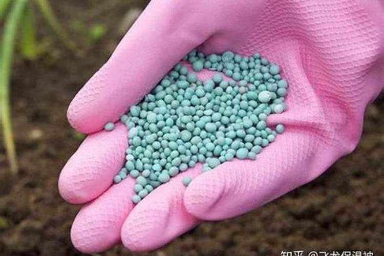 水稻施用氮肥过量有何危害
