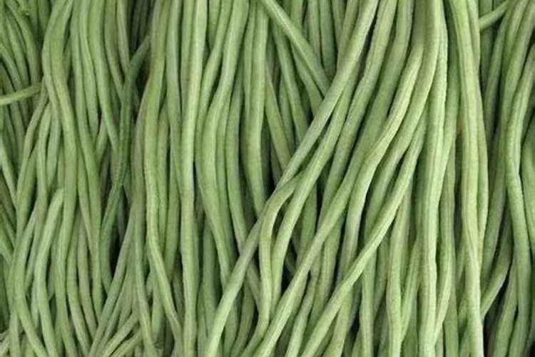 鱼蛋白肥料的功效与作用