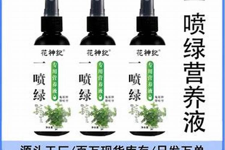 四季海棠花用浇营养液吗!浇什么营养液好？
