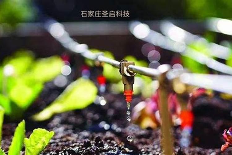蟹塘雨后水浑瘦应先肥水还是先调水？