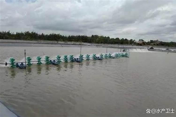 水产养殖一年到头都在调水,你可知道怎么调一塘好水？