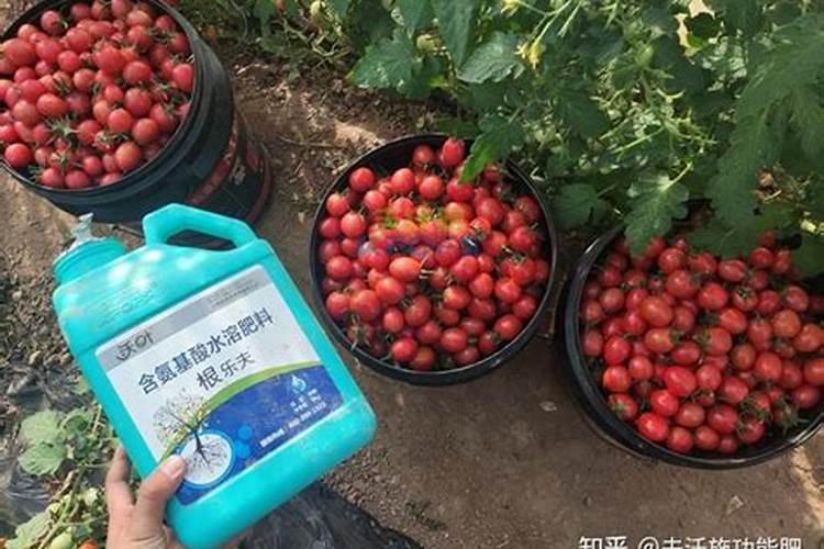 氮肥跟复合肥一样吗
