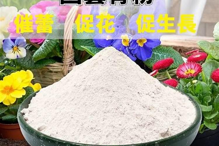樱桃鼠尾草开花期施什么肥好