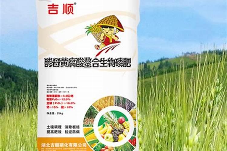 酵母黄腐酸磷肥在地里有效多长