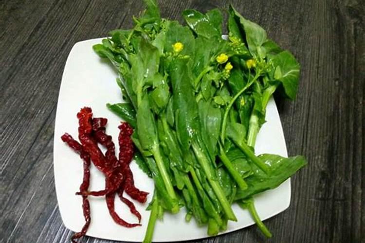 油菜苔肥什么时候施好
