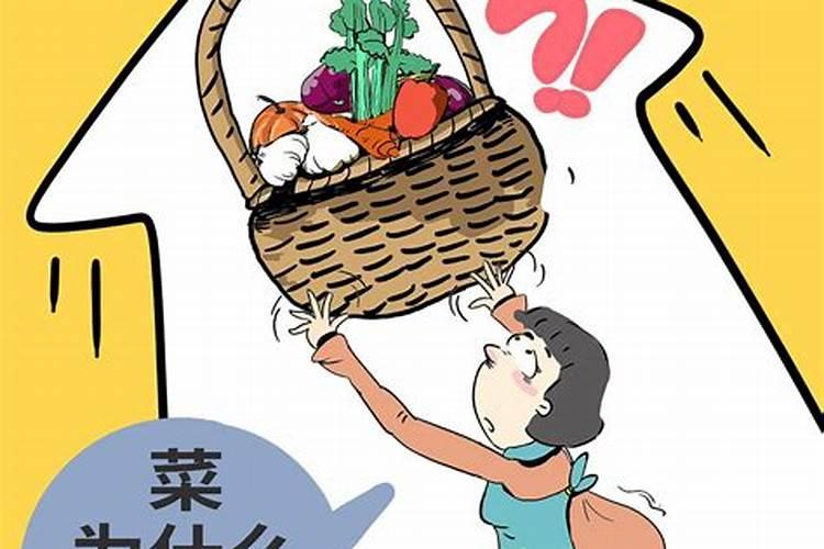 种植白菜需要多施什么肥？