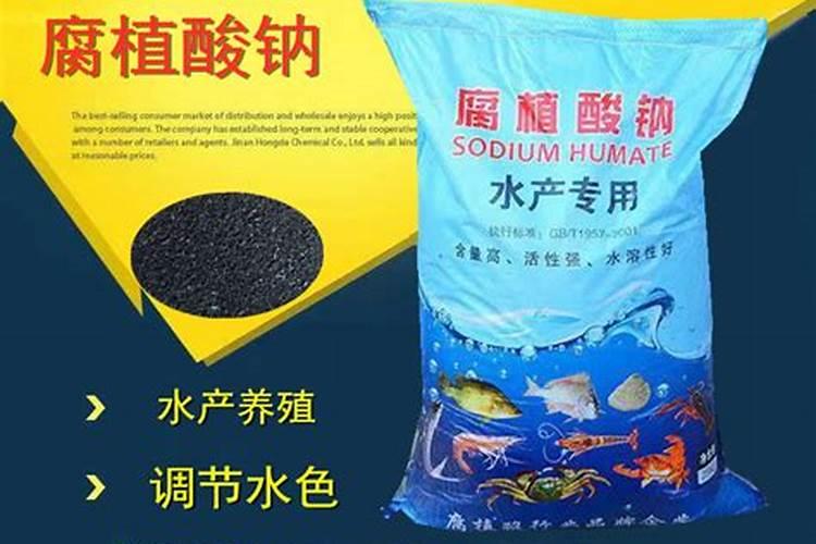 捕蝇草怎么施肥