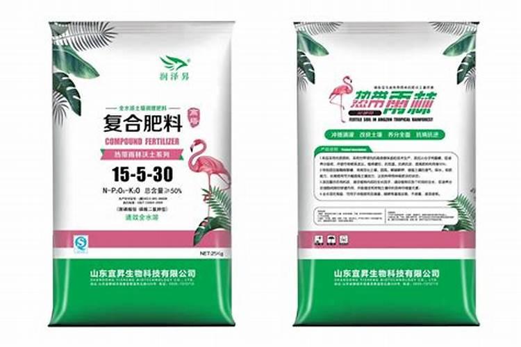 四季豆施肥的正确方法