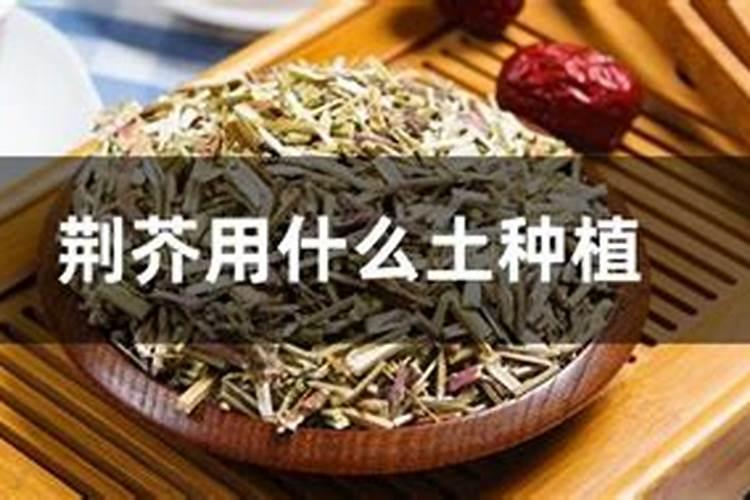 3克尿素要多少水浇花