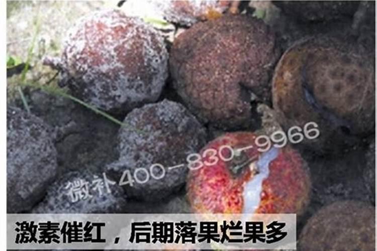 西瓜最佳你施肥时间是什么时候