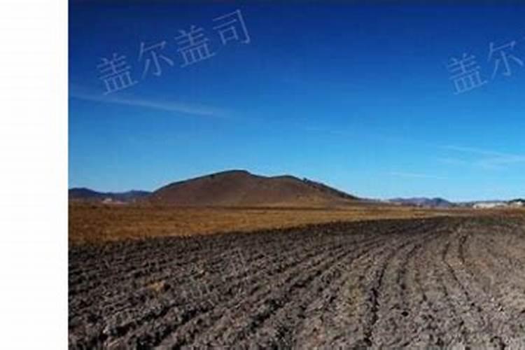 蔬菜施肥过量出现的生理病害症状