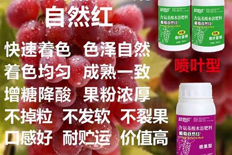 葡萄催红用什么？怎么用？