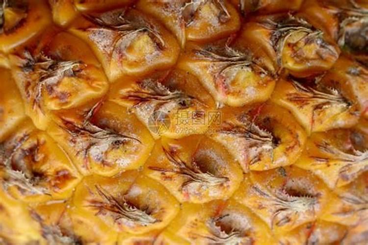 鸟粪可以当肥料吗？
