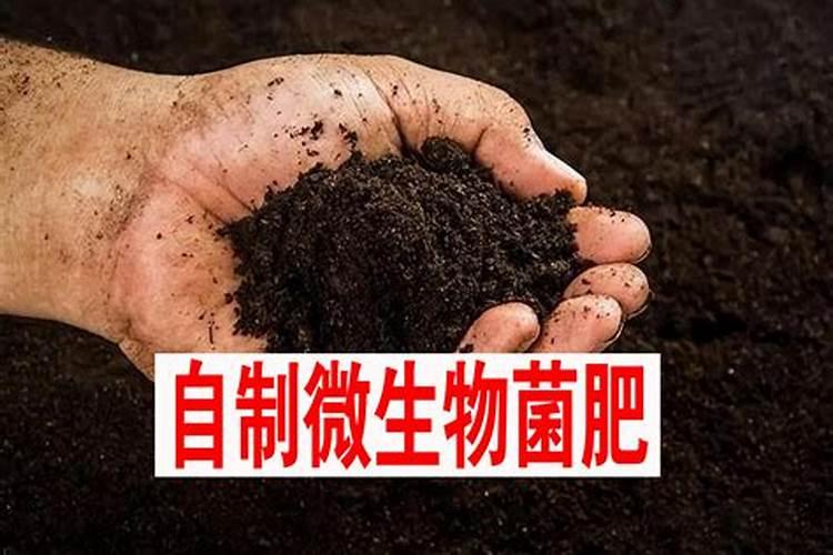 百香果浇什么肥料