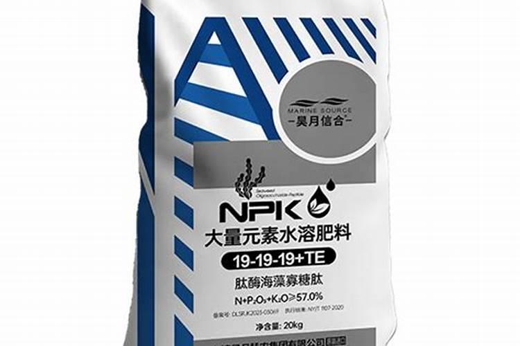火龙果树怎么移栽？