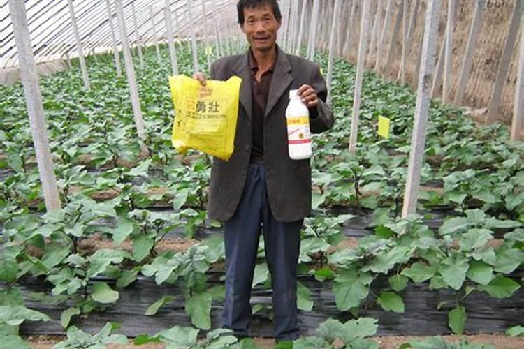 台湾兴农肥料怎么样