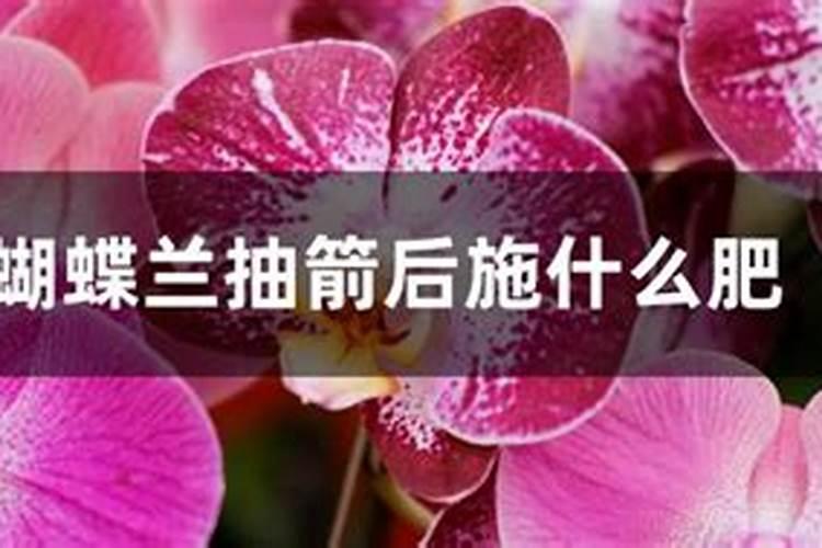 天然气和植物油燃料哪个更划算？