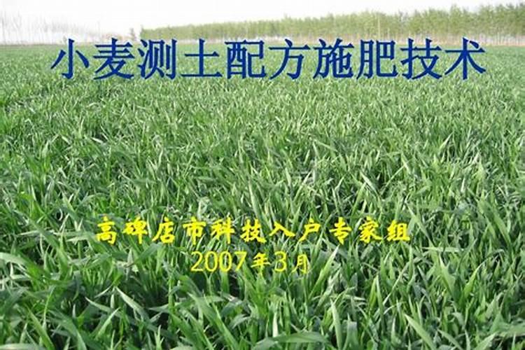 土壤的钾素是怎样来源的？