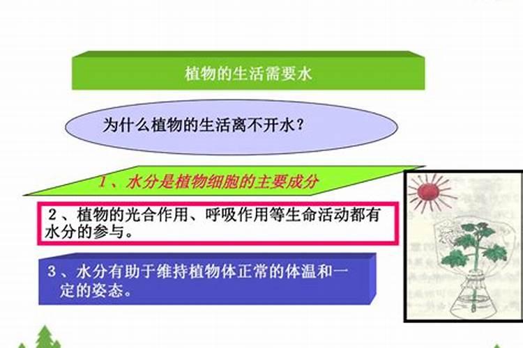 养花什么时候施氮肥(给花施氮肥比例是多少)