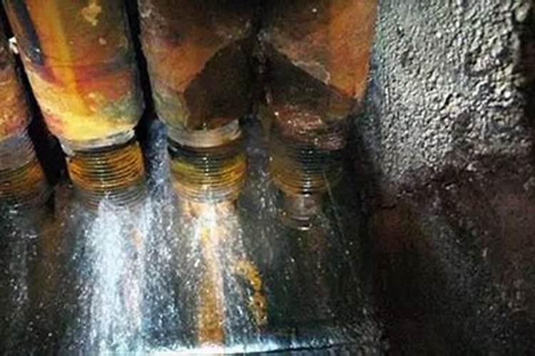 腐植酸有什么作用？腐植酸肥料的使用标准是什么？