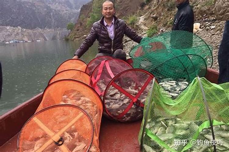 钓鱼用的果酸选择方法,看完就懂了