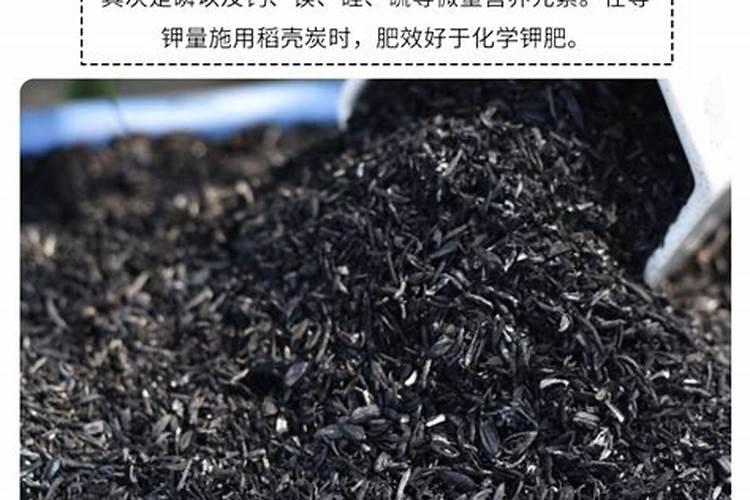 朱顶红的花期怎么延长,6个妙招让朱顶红花开不败