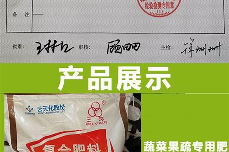 脐橙春季管理技术,脐橙植株距多少合适
