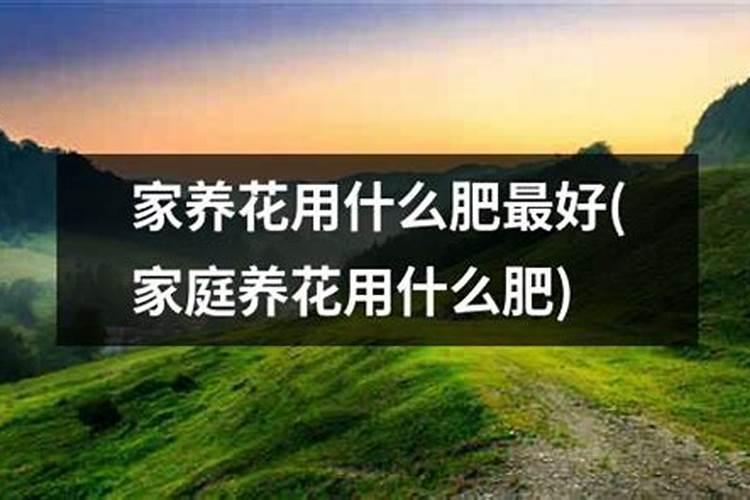 对节白蜡配土方法与种植土壤