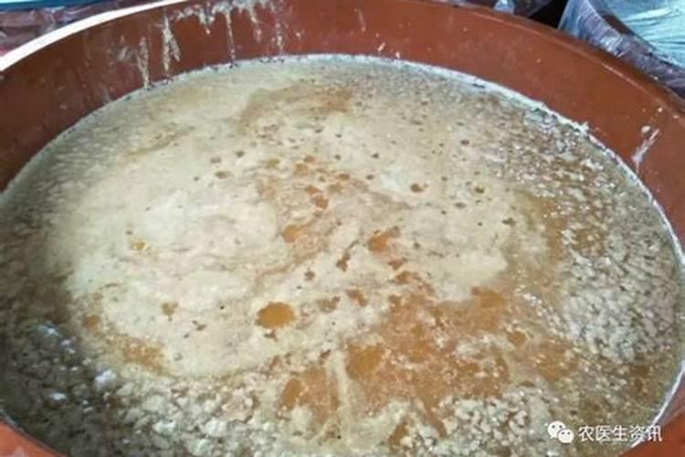 求教对节白蜡用什么土