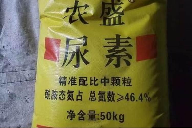葡萄挂果后施什么肥