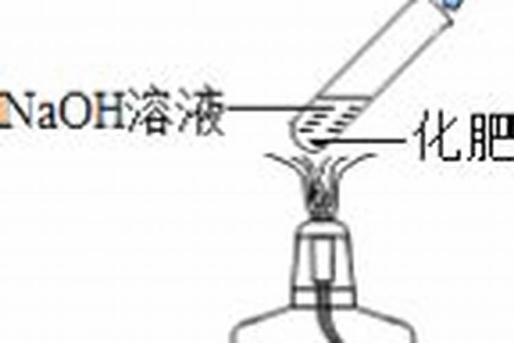 常用的氮肥是什么