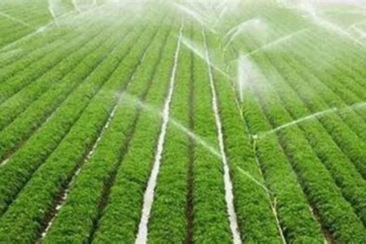 硝酸钾、硫酸钾、氯化钾,三种钾肥有哪些区别呢？