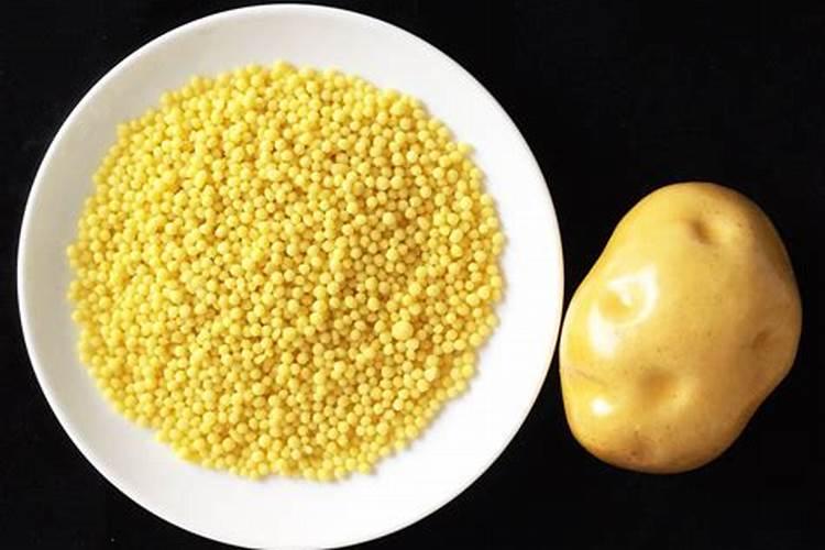 空心菜再次成为关注对象!医生告诫:吃空心菜时,要注意这5点