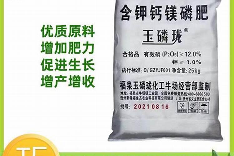 有关施耐庵的介绍