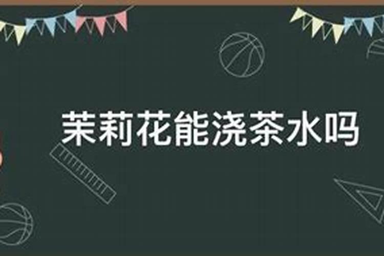 茶叶水可以浇茉莉花吗