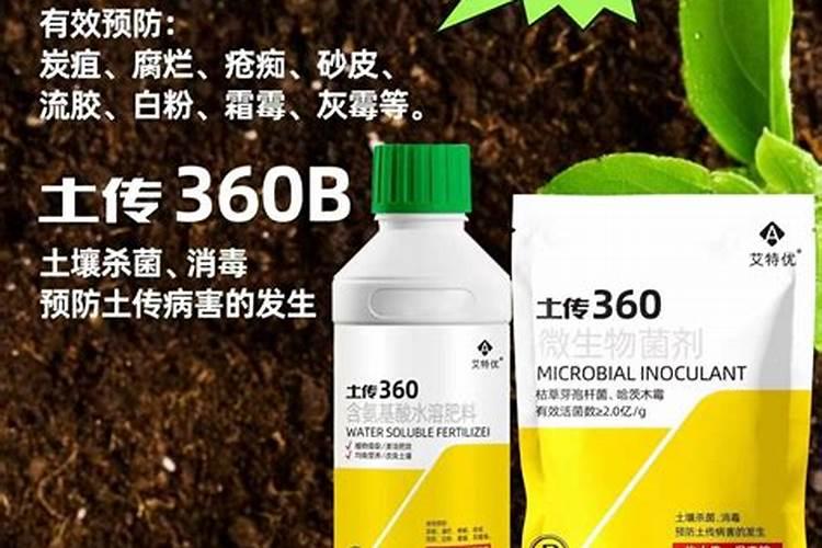 小麦种植追肥使用尿素后,可以马上浇水吗？为什么？