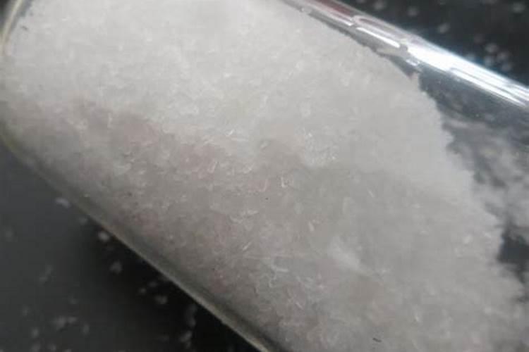 家庭养多肉,牢记哪几大技巧,快速上色变老桩？