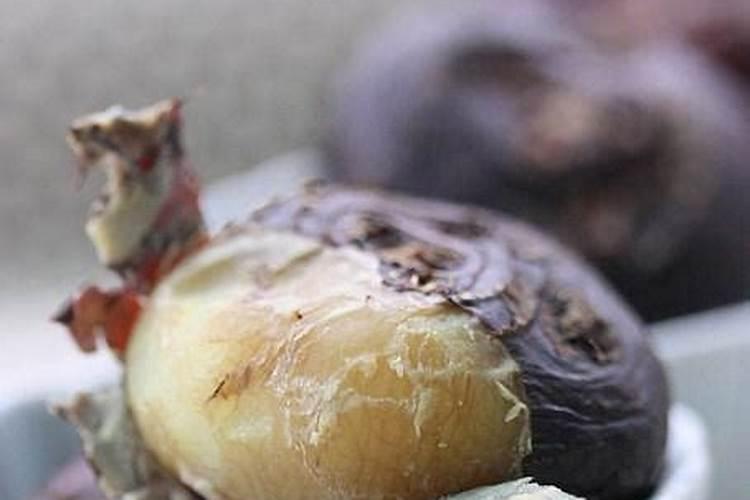 尿素适合哪些花？在缺肥症状出现以前施用防止烧根