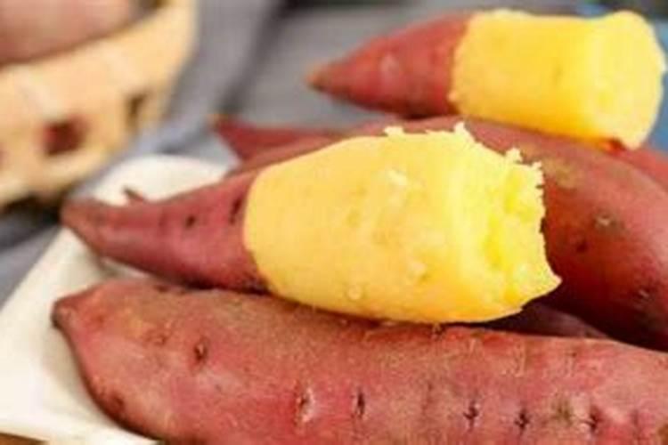 盆栽草莓施肥用什么肥料好