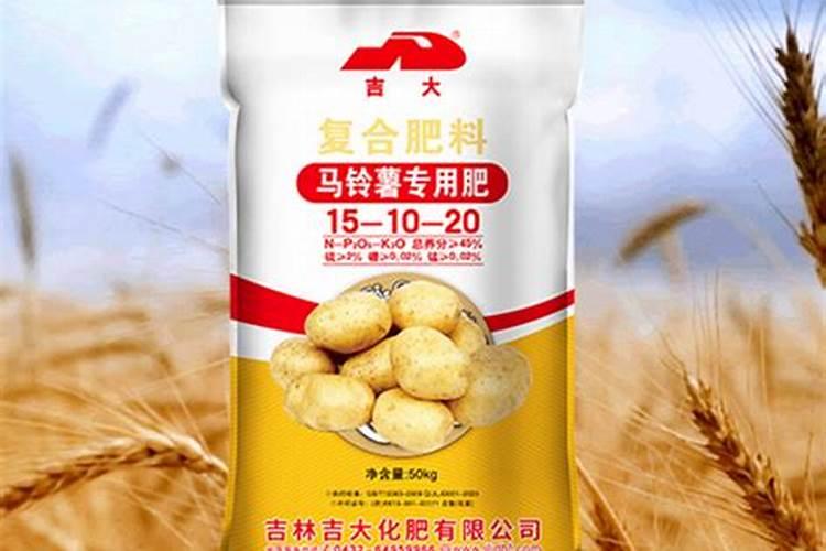 白菜叶斑病病原