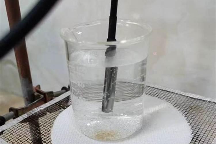 花农绝不外传的养花绝招有哪些？