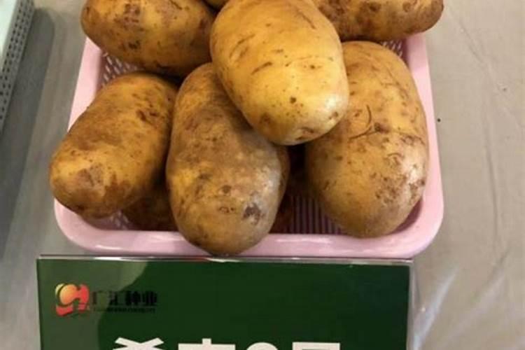 种土豆用什么肥料