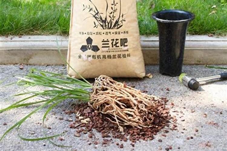 种花生底肥用什么肥 花生需要什么肥料才能高产