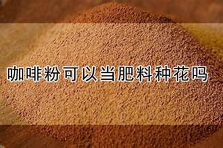 水葱应该怎么养殖